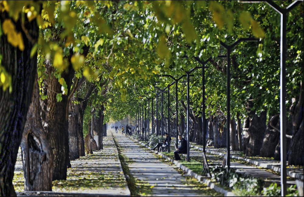 DUTLU YOL